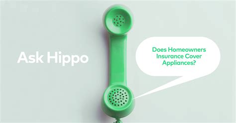 The official blog of Hippo Home Insurance. Lets Talk Home Office Safety and Data Security. No matter how you decorate, furnish, or set up your home office, it’s important to design with safety and security in mind. ... appliance coverage ask hippo claims company news cost savings coverage COVID-19 Updates deductible disaster …. 