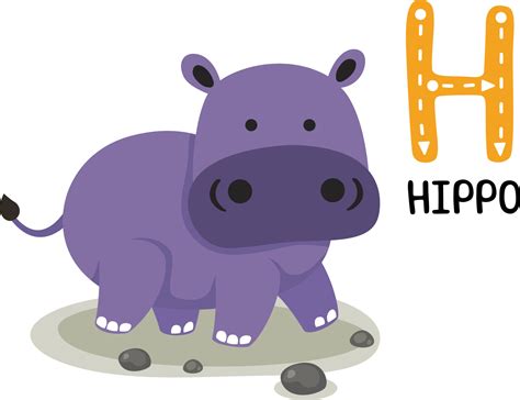 Hippo h&auml;stfoder - Svenska Foder AB