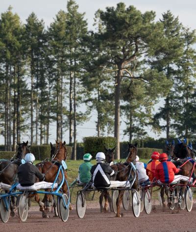 Hippodromes en Ille-et-vilaine, horaires et infos - PagesJaunes