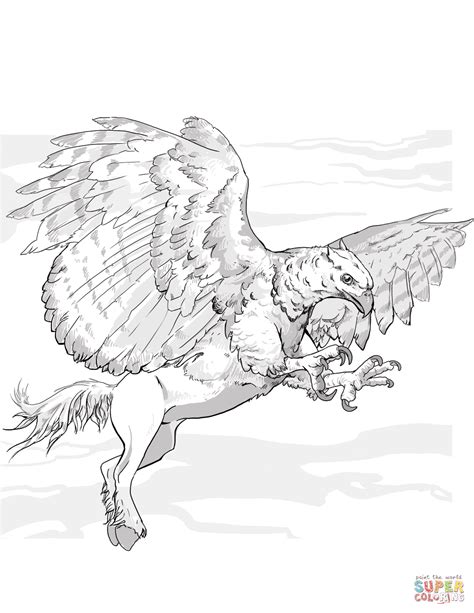 Hippogriff Coloring Pages Coloring Pages
