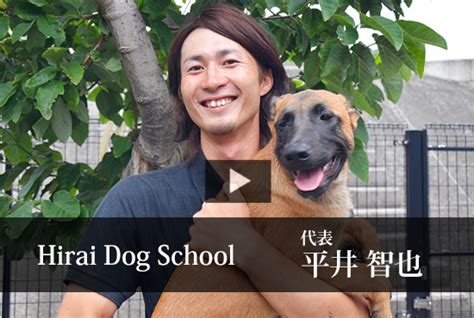 Hirai Dog School - KATCH