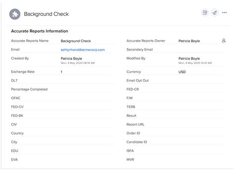 Hireright Background Check Sample Report