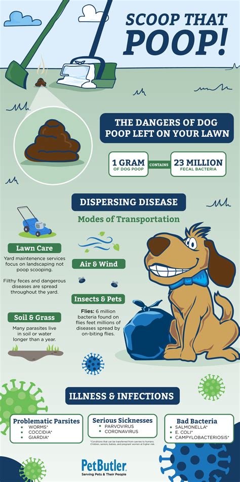 Hiring Someone To Pick Up Dog Poop: Options Prices And …