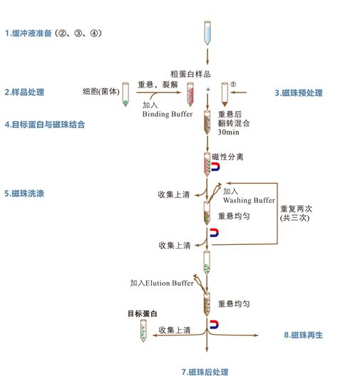 His-Tag蛋白纯化原理、步骤及常见问题 - 知乎 - 知乎专栏