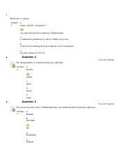 Hist 111 Ch. 7 Quiz & Answers .docx - The Koran, or Qur