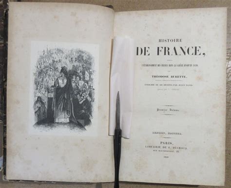 Histoire de france depuis l'etablissement des francs dans la gaule jusqu'en 1830. - La tabla esmeralda carla montero manglano.