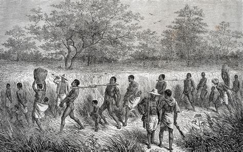 Histoire de l'esclavage à l'île bourbon (réunion). - Erbe e una guida dalla a alla z di 309 erbe medicinali.