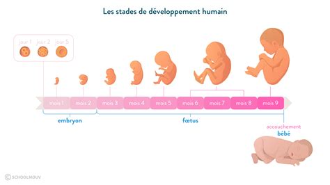 Histoire du cycle de la naissance et de la mort. - Abbott architect analyzer i2015 user guide.