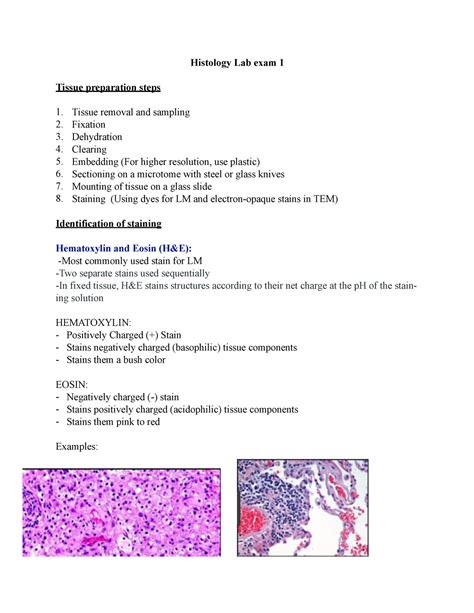 Histology Lab Image Information