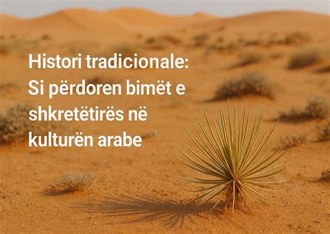 Histori si qiva. .  ...