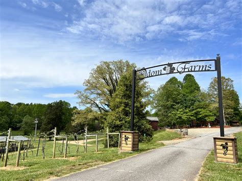 Historic, spirited Blairsville offers an endless supply of Georgia’s mountain culture