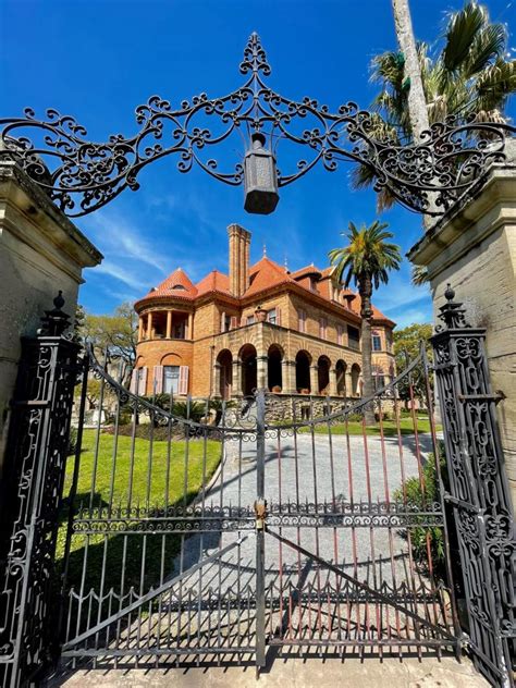 Top 10 Best Historical Places in San Jose, CA - February 2024 - Yelp - Circle of Palms, Niles Canyon Railway, History Park, Ainsley House, East San Jose Carnegie Branch Library, Moffett Field, Mission Santa Clara de Asis, Peralta Adobe And Fallon House, Sierra Road, Rosicrucian Egyptian Museum