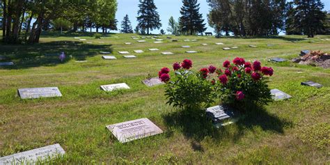 Historic guide to calgarys union cemetery. - Have you filled a bucket today a guide to daily happiness for kids bucketfilling books.