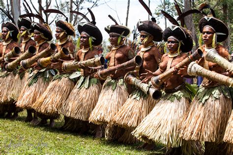 Read Online Historical Vines Enga Networks Of Exchange Ritual And Warfare In Papua New Guinea By Pauline Wilson Wiessner
