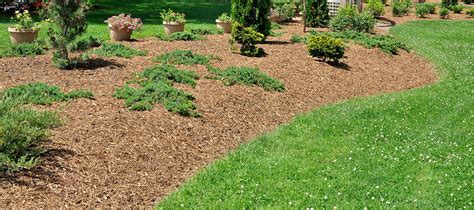 History - Bare Root Landscaping