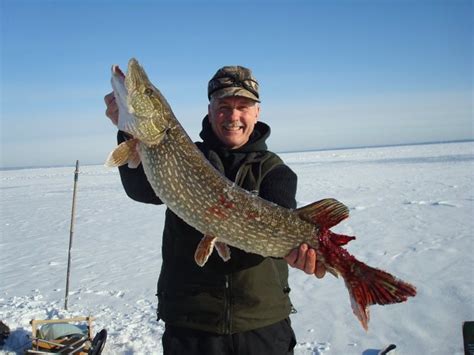 History - Michigan Darkhouse Angling Association