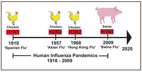 History of Swine influenza viruses in Asia - PubMed