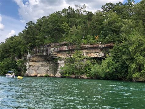 The Sipsey Wilderness, located within the William B. Bankhead National Forest, is one of the primary places from which the famously clean water of Lewis Smith Lake flows. And in the spring and ...