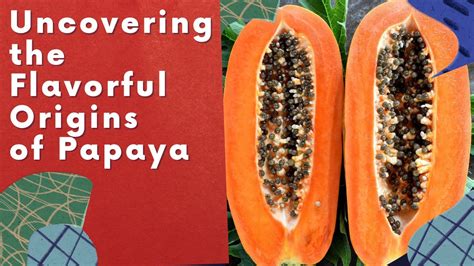 The origins of papaya ( Carica papaya) are lost to