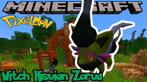 Hisuian zorua pixelmon. Ever since Hisuian Zorua and Hisuian Zoraork were revealed in the lead-up to Legends: Arceus, fans all over the world have been fascinated with the series’ first ever Normal/Ghost-types. Now ... 
