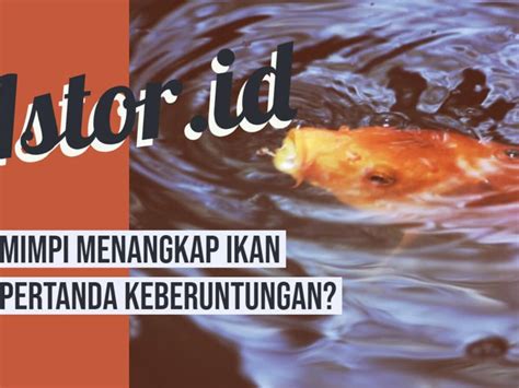 Hk 100 persen jitu 2021. Tafsir mimpi ikan lele.