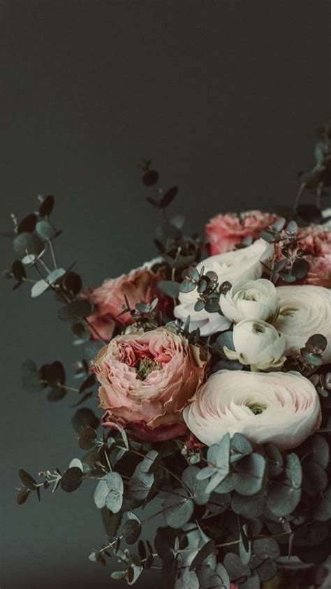 Hllgrl Leaks 😈 (SEX)