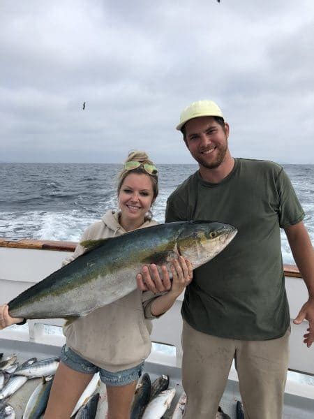20 Sand Bass, 11 Sculpin, 2 Calico Bass, 46 Rockfish. 05-25-2024. 1/2 Day Trip. 57 Anglers. 7 Sheephead, 19 Calico Bass, 85 Calico Bass Released. Fish Counts Powered by SanDiegoFishReports.com: We have been running deep sea charter fishing trips out of San Diego for 53 years. Experience sportfishing with the finest fleet of fishing boats in .... 