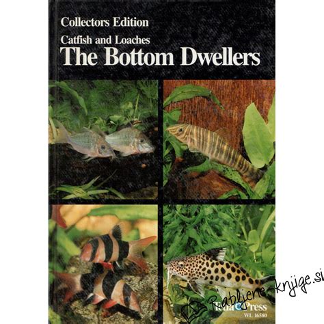 Hobbyist guide to catfish and loaches the bottom dwellers. - The handbook of child and adolescent psychotherapy psychoanalytic approaches.