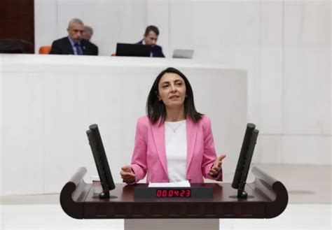 Hocakoy Halı ve Koltuk Yıkama