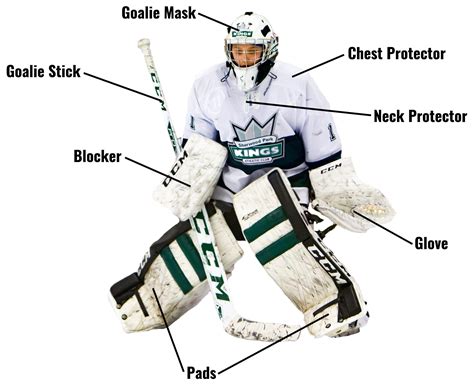 Hockey Goalie Protective Gear Pure Goalie