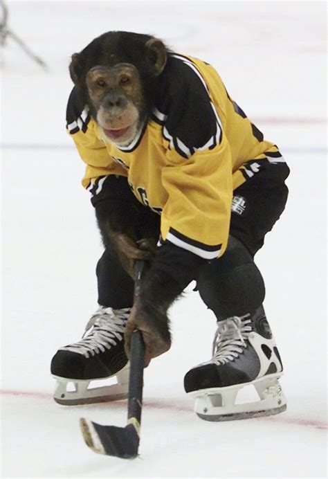 Hockey monkey. Things To Know About Hockey monkey. 