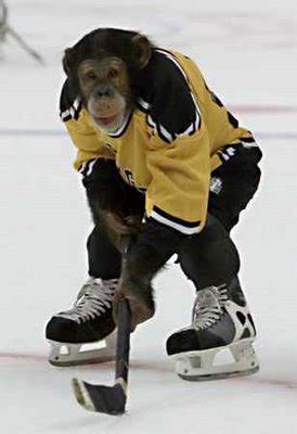 Hockey monkey near me. 5. Monkey Sports. “Chagolla. I was invoiced, twice, that 42 ice hockey jerseys would cost me $615.17, after I submitted” more. 6. Pure Hockey. “Great job Pure Hockey - Noe is a great asset to your business.” more. 7. Play It Again Sports. 