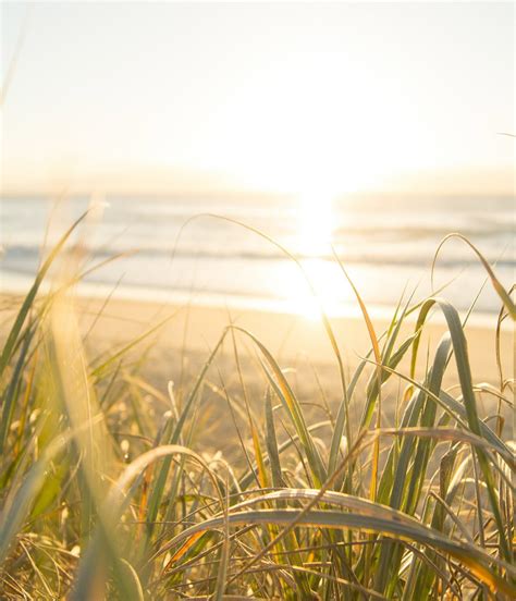 Hoe effectief is ACT