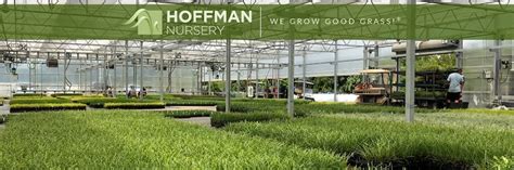 Hoffman Nursery - 5520 Bahama Rd, Rougemont, NC 27572