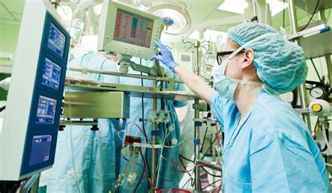 Hofstra perfusion. Things To Know About Hofstra perfusion. 
