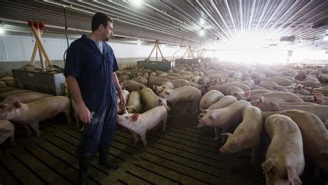 Hog confinement operation gets ok from county planners