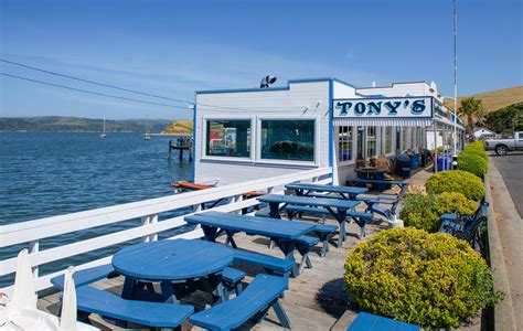 Hog oyster island. All Hog Island Oyster Co. locations will be donating 10% of sales to the following community service organizations: San Francisco – SFILEN: The San Francisco Immigrant Legal & Education Network (SFILEN) is a unique collaboration of legal and service organizations dedicated to aiding the immigrant community in San Francisco. Their … 