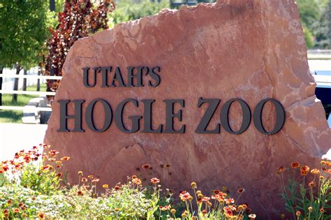 Hogle zoo salt lake city ut. There are a few ways to save on tickets to the Hogle Zoo in the winter. One is Wild Wednesdays. Every Wednesday in January and February of 2023, the zoo is offering $5 online tickets (tickets in person are $7). This gives you lots of Wednesdays to visit at a discounted price. Here is the link to purchase tickets. 