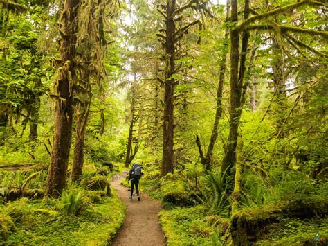 Hoh river trail. The Trans Canada Bike Trail is a dream come true for cycling enthusiasts looking to explore the vast and diverse landscapes of Canada. Spanning over 22,000 kilometers, this incredi... 