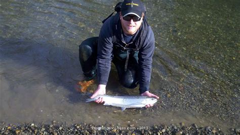 Hoko River Tributary Fishing Report Clallam County Fishing