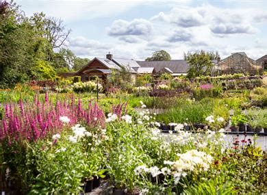 Holden Clough Nurseries - Garden Centre in Clitheroe, Bolton-by …