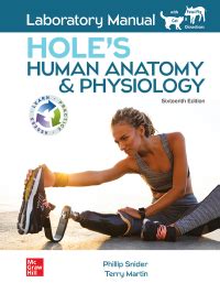 Hole human anatomy and physiology lab manual answers. - Wenn du viel erreichen willst, tue wenig.