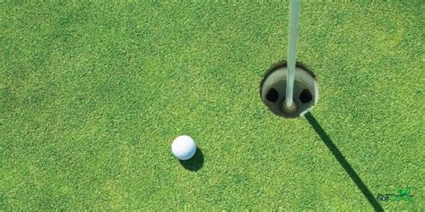 Hole in Golf Learn the Game Based on Scoring in Holes