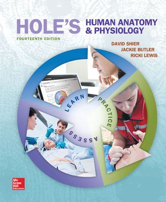 Holes anatomy and physiology 11th edition study guide. - Storia del medio evo dalla caduta dell'impero romano d'occidente alla morte ....