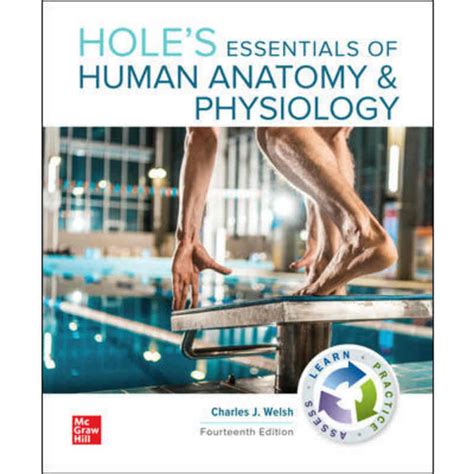 Holes essentials of human anatomy and physiology study guide. - The rules of rhyme a guide to english versification by tom hood.