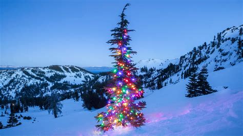 Holiday Gift Guide Palisades Tahoe