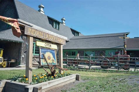 Holiday Marketplace returns to Indian Ladder Farms