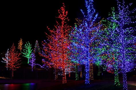 Holiday tree lightings around the Capital Region