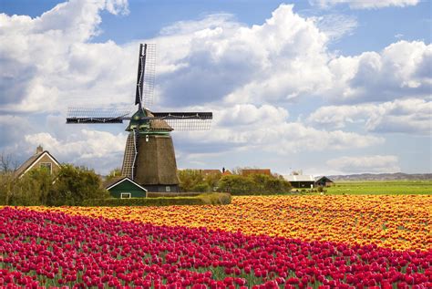 Holland&cooper - A small country that’s big on culture and nature. The Netherlands: fiercely independent, open-minded and full of pleasant surprises. Visit our amazing country and discover all the wonderful things it has to offer. 