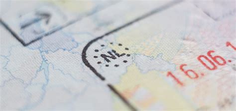 Hollanda iş arama vizesi